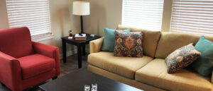 Fully Furnished Living Room