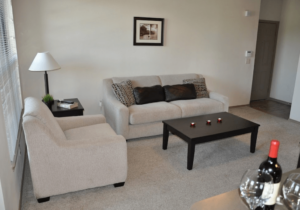 Fully Furnished Living Room Apartment in Selma TX near Randolph Air Force Base