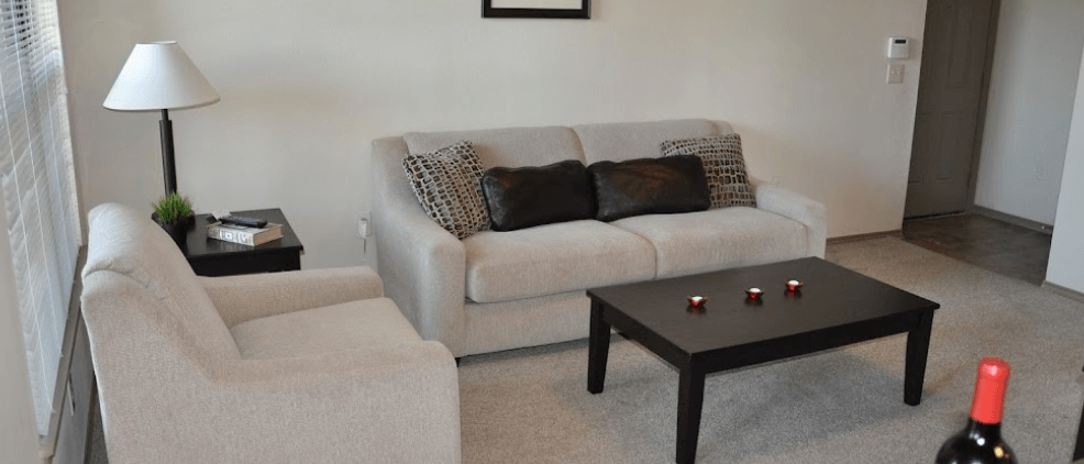 Fully Furnished Living Room Apartment in Selma TX near Randolph Air Force Base